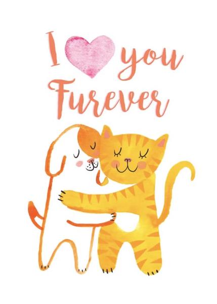 Love-Furever